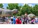 Cabana cazare turism brasov 509808 poza 1
